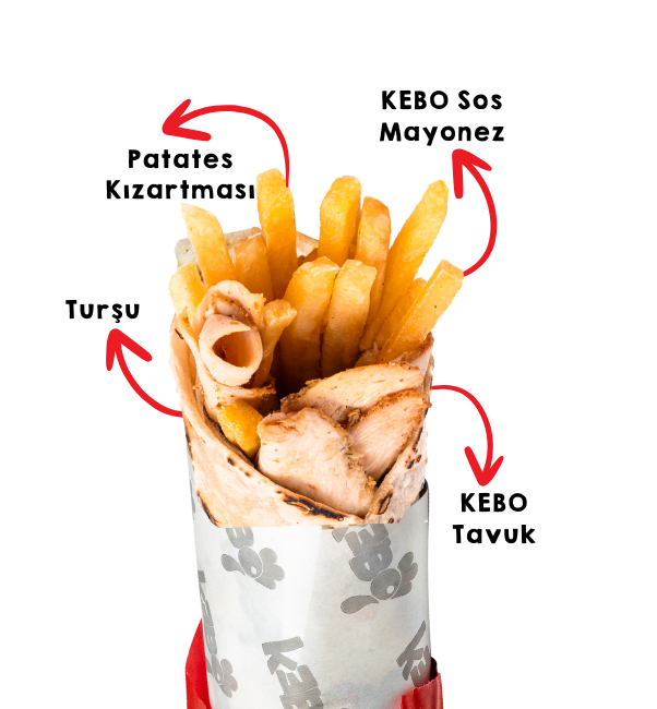 EFSANE